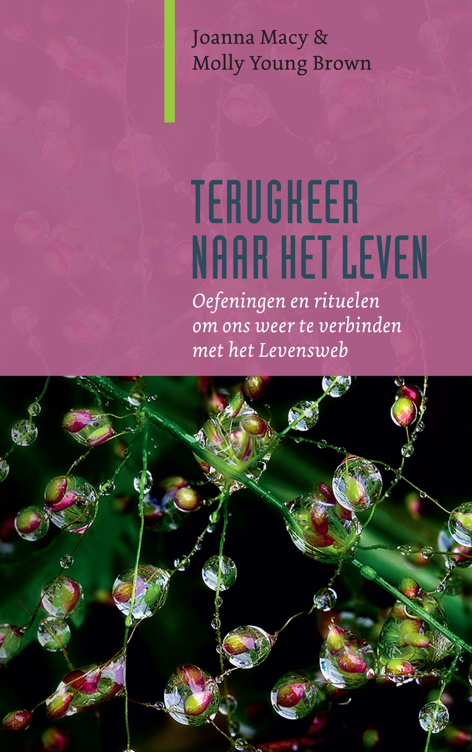 terugkeer_hr Filosofie van de eenvoud